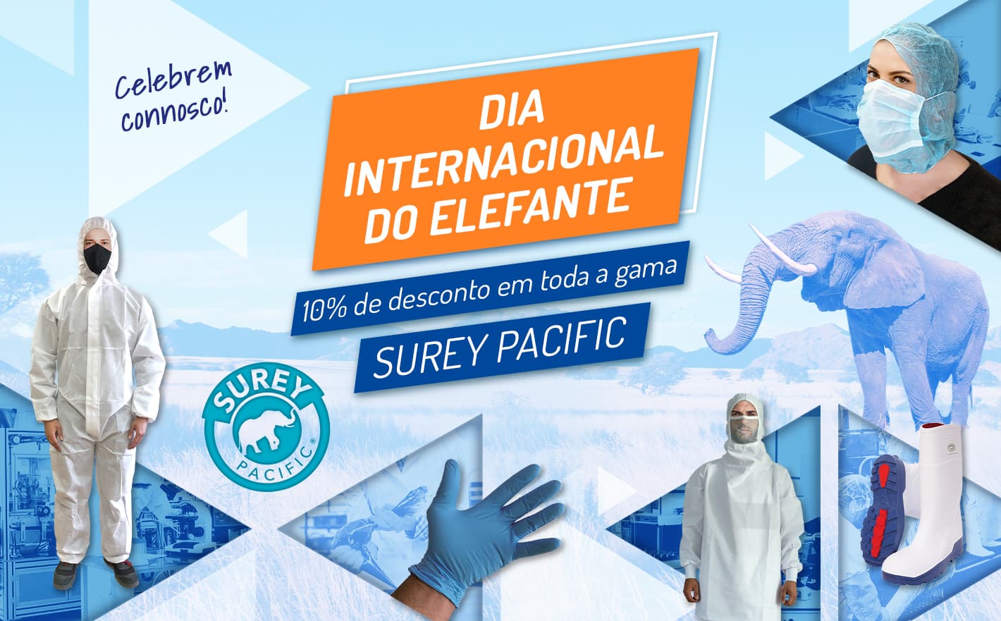 Celebrar o Dia Internacional do Elefante com Reysan