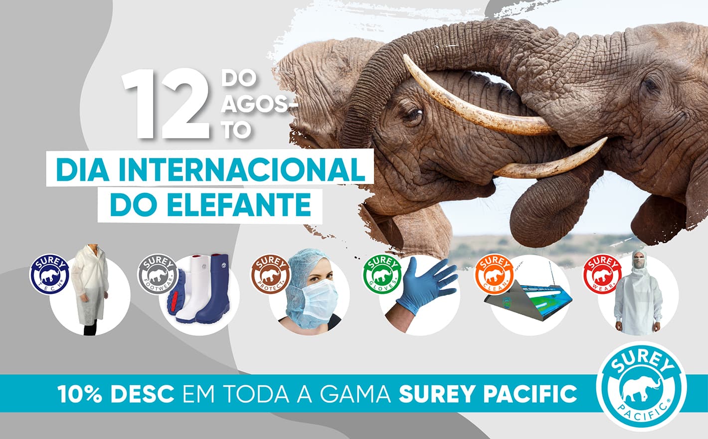 Celebrar o Dia Mundial do Elefante com Reysan 2022