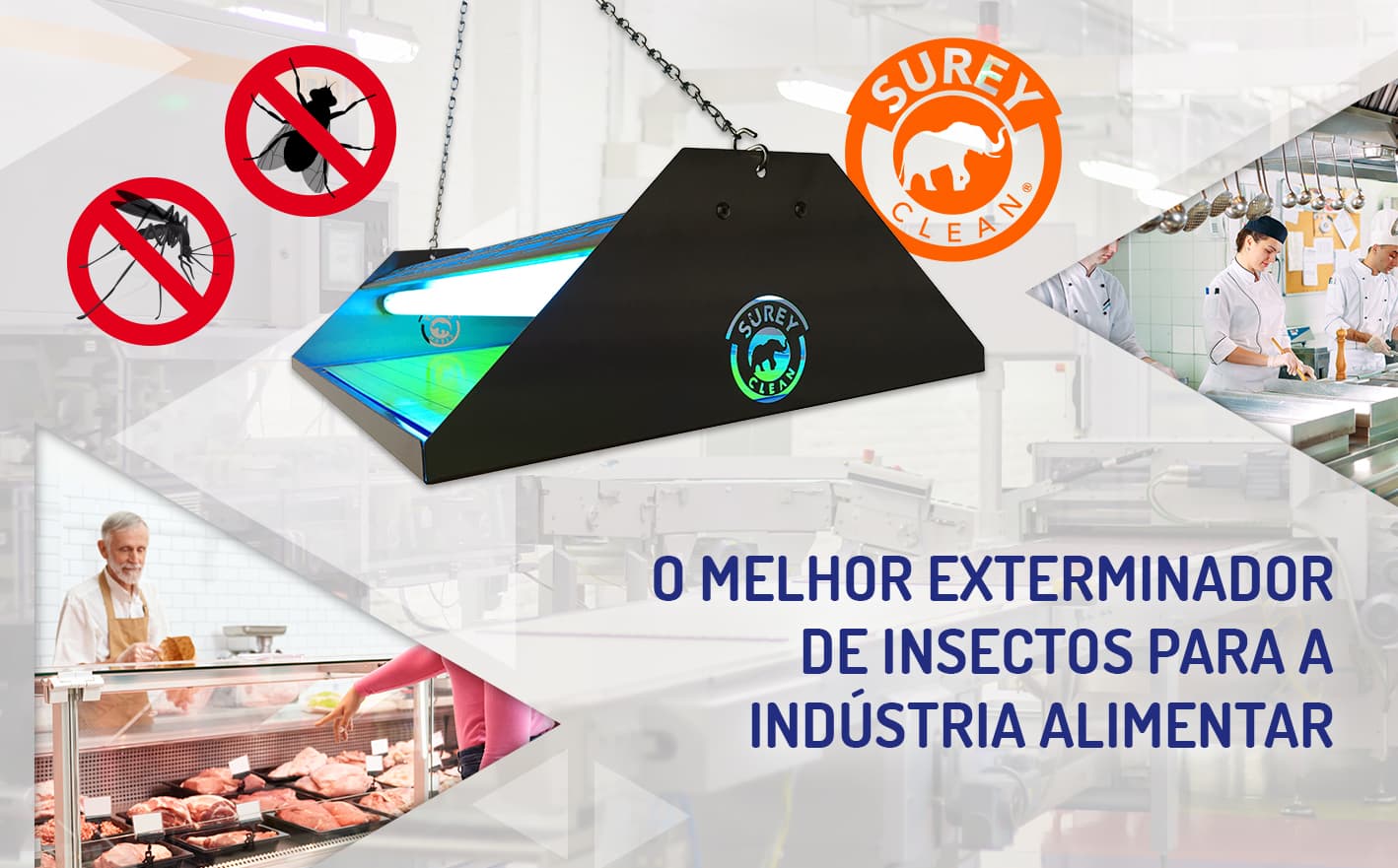 O melhor exterminador de insectos para a indústria alimentar