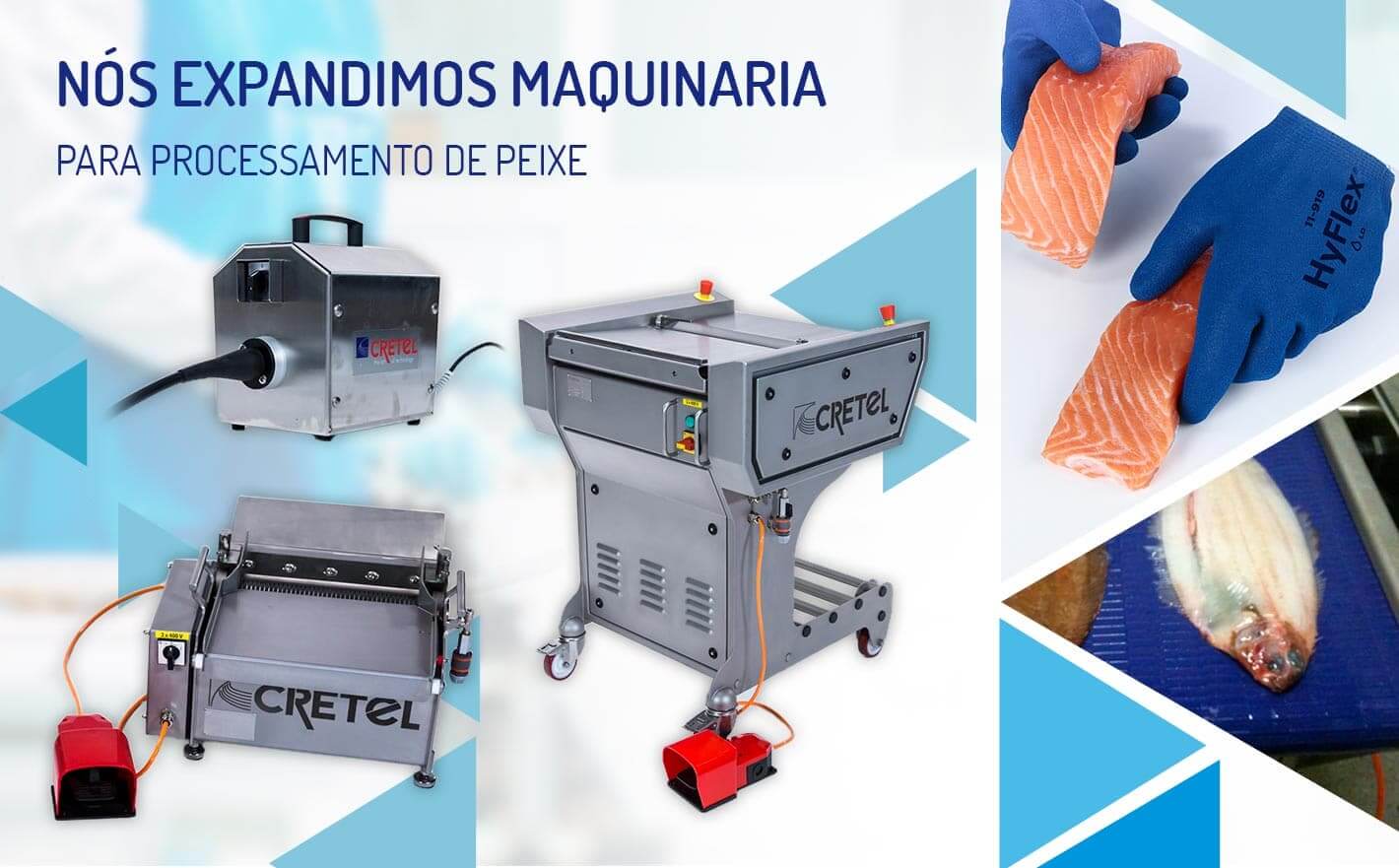 Nós expandimos maquinaria para processamento de peixe