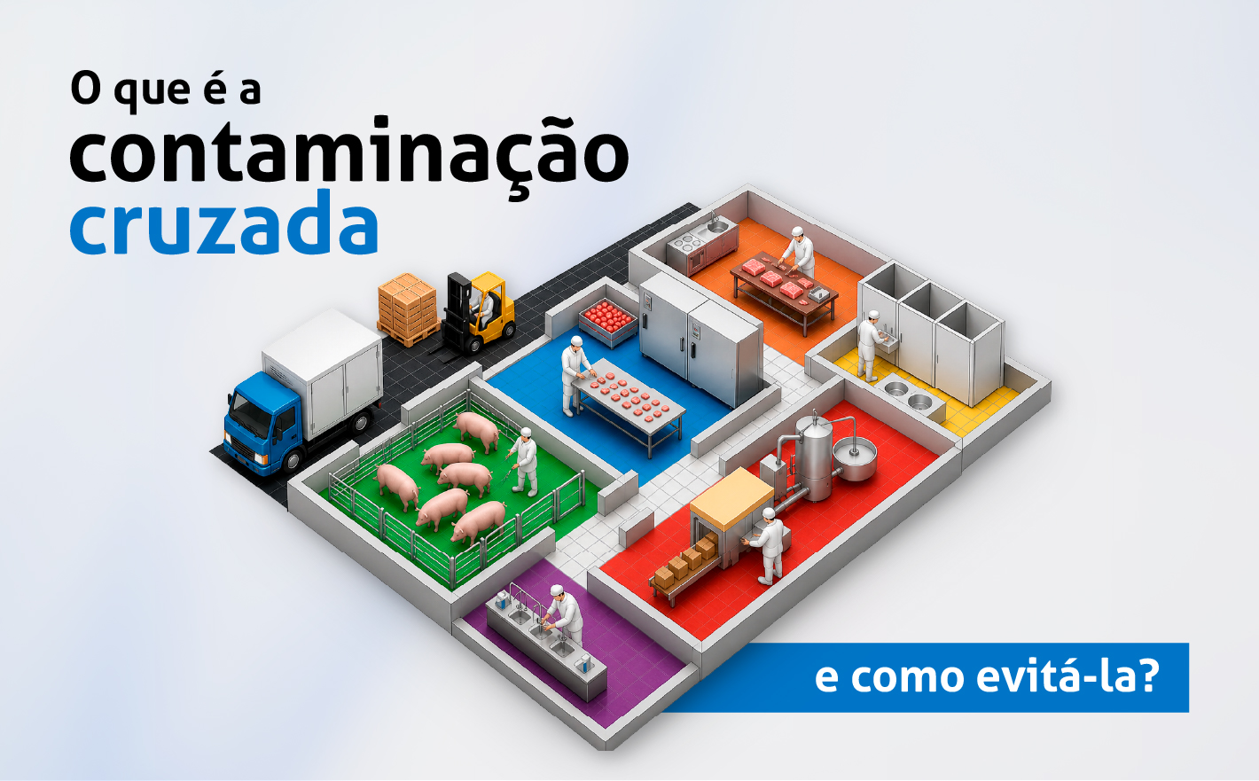 O que é a contaminação cruzada e como evitá-la?
