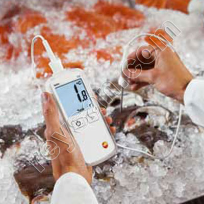 TESTO COM SONDA -50+300º 108