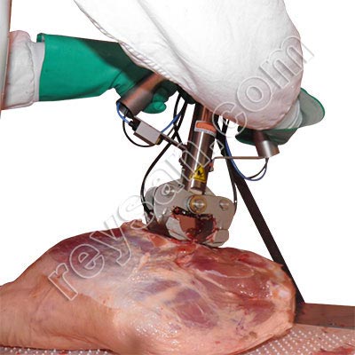 SHEAR CUT OSSO PONTE