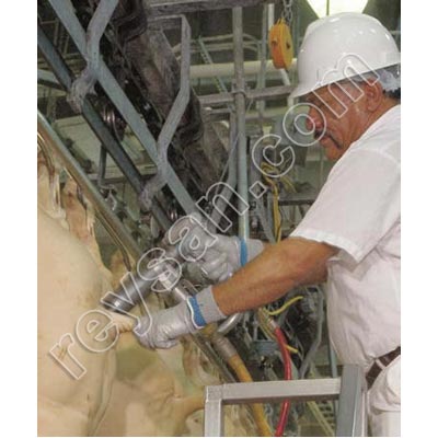 ARMA CULAR JARVIS HBD1 PIN