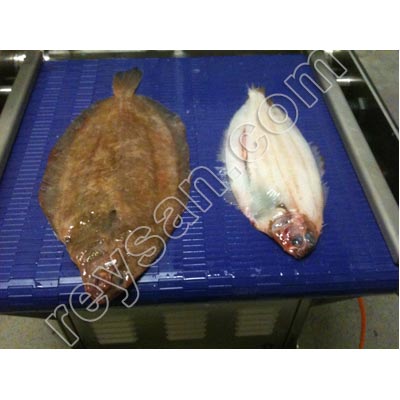 DESSAUGADOR DE PEIXE AUTOMÁTICO 460