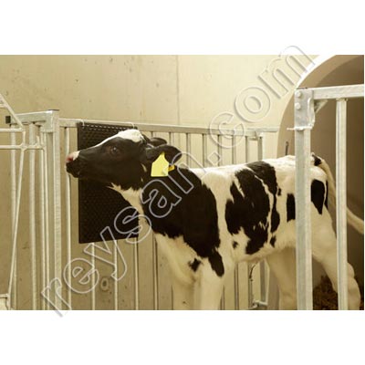 TAPETE RASPADOR DE ANIMAIS