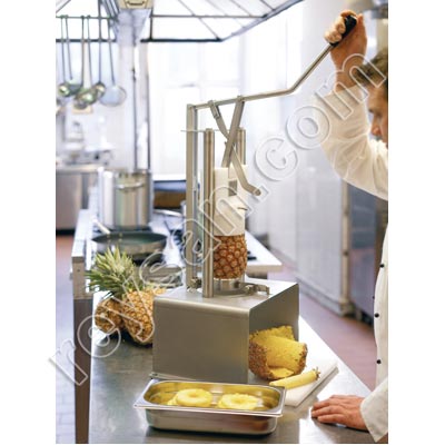 DESENCORAJADOR E DESCASCADOR MANUAL DE ANANÁS