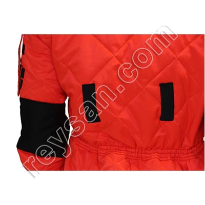 MERGULHADOR DE VESPAS ASIÁTICO VELUTINA-ASIÁTICO