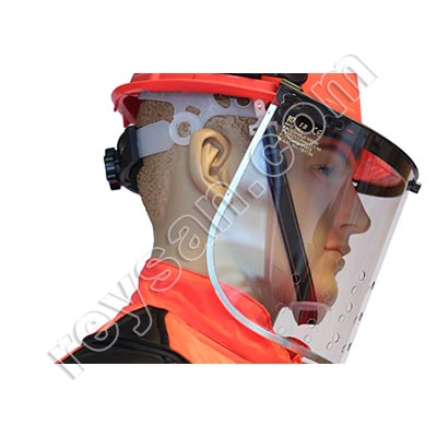 MERGULHADOR DE VESPAS ASIÁTICO VELUTINA-ASIÁTICO